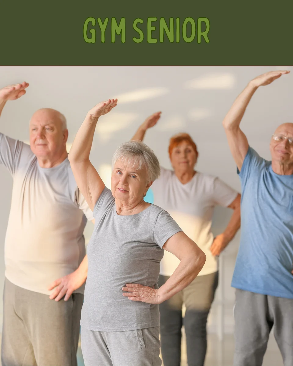 Seniors réalisant ensemble un exercice de mobilité et d’étirement lors d’un cours collectif de gymnastique.